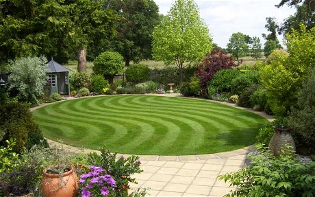 Mike Lee lawn